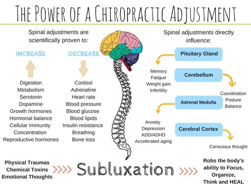 How a Chiropractic Adjustment Works